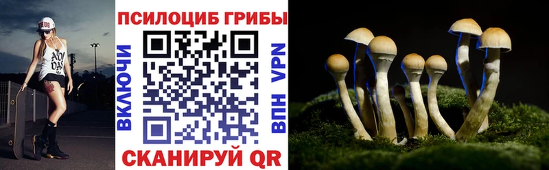 Галлюциногенные грибы Magic Shrooms  Лесозаводск 