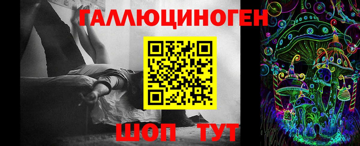 Псилоцибиновые грибы Psilocybe Лесозаводск