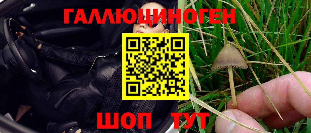 Галлюциногенные грибы Magic Shrooms  Псилоцибиновые грибы Psilocybe  Вход с VPN  купить   Лесозаводск 